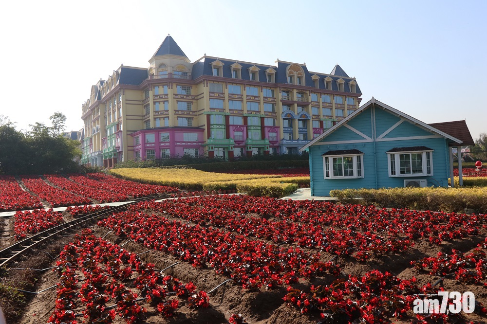 浪漫花海 悠閒古鎮 兩天一夜 廣州處處是風景