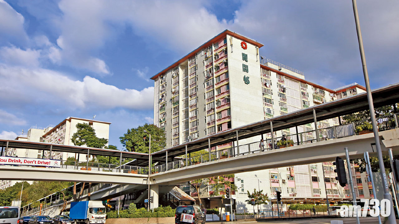 麗閣邨搜出10支懷疑手槍 警拘六旬夫婦