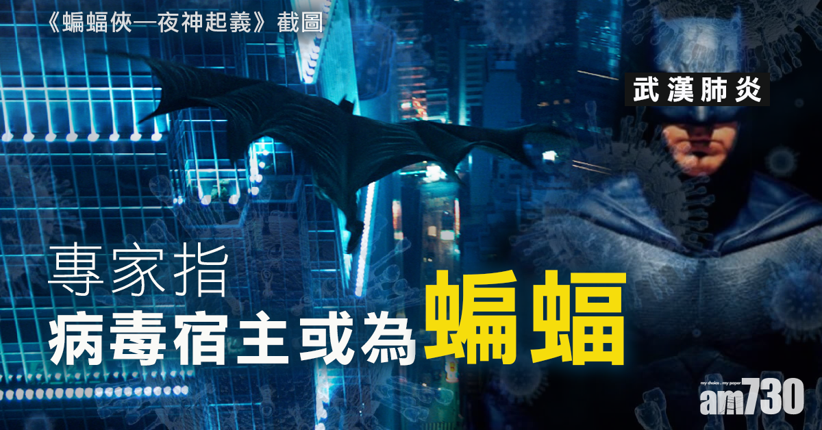 專家指病毒宿主或為蝙蝠