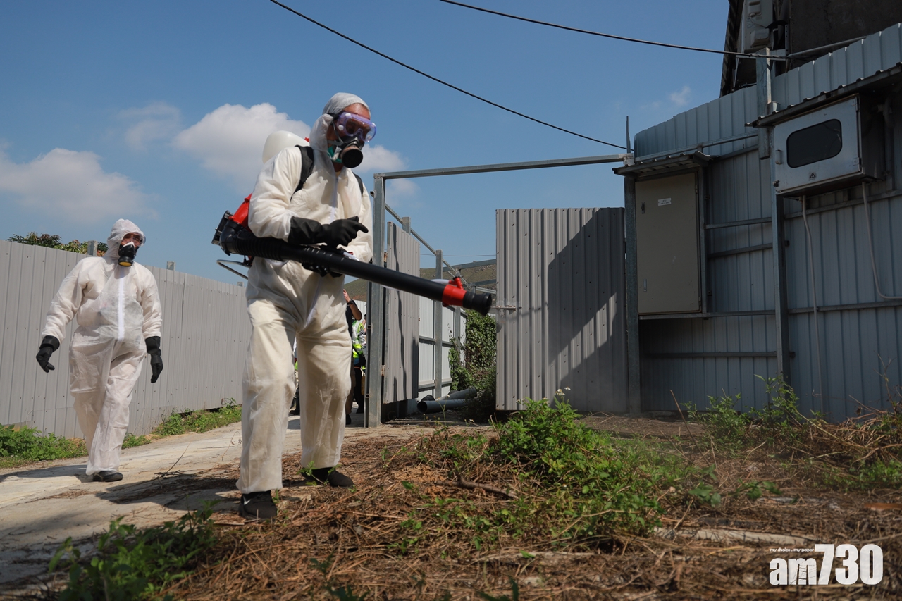 【圖集】元朗崇山新村現今年首宗本地登革熱　食環署派員滅蚊