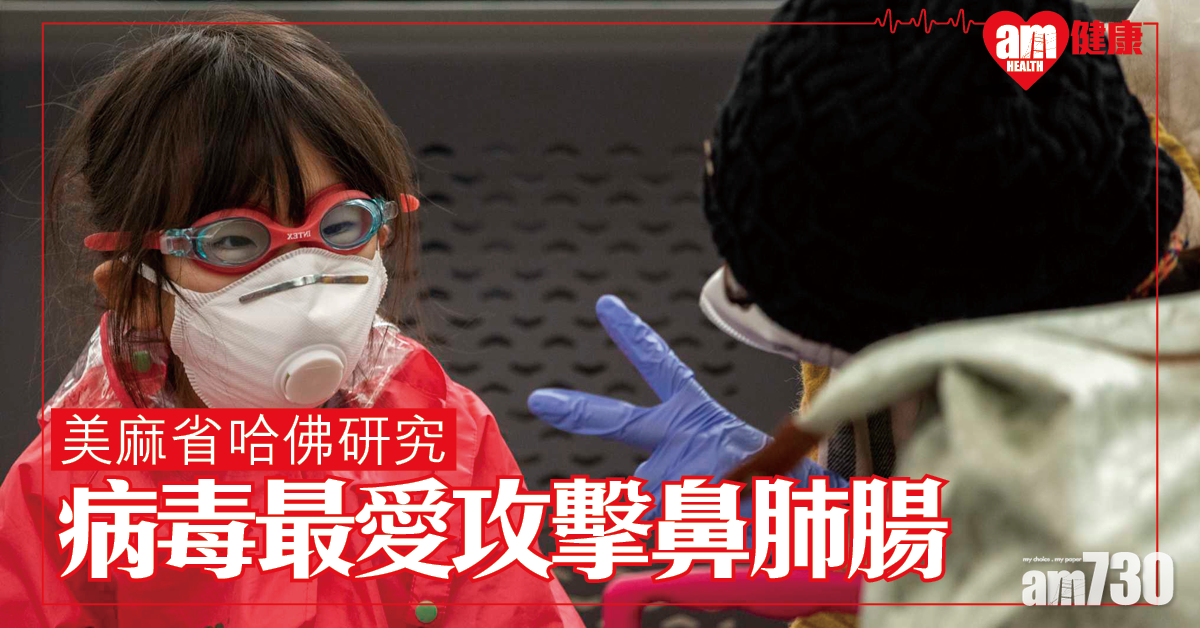 【新冠肺炎】美麻省哈佛研究：病毒最愛攻擊鼻、肺及腸道