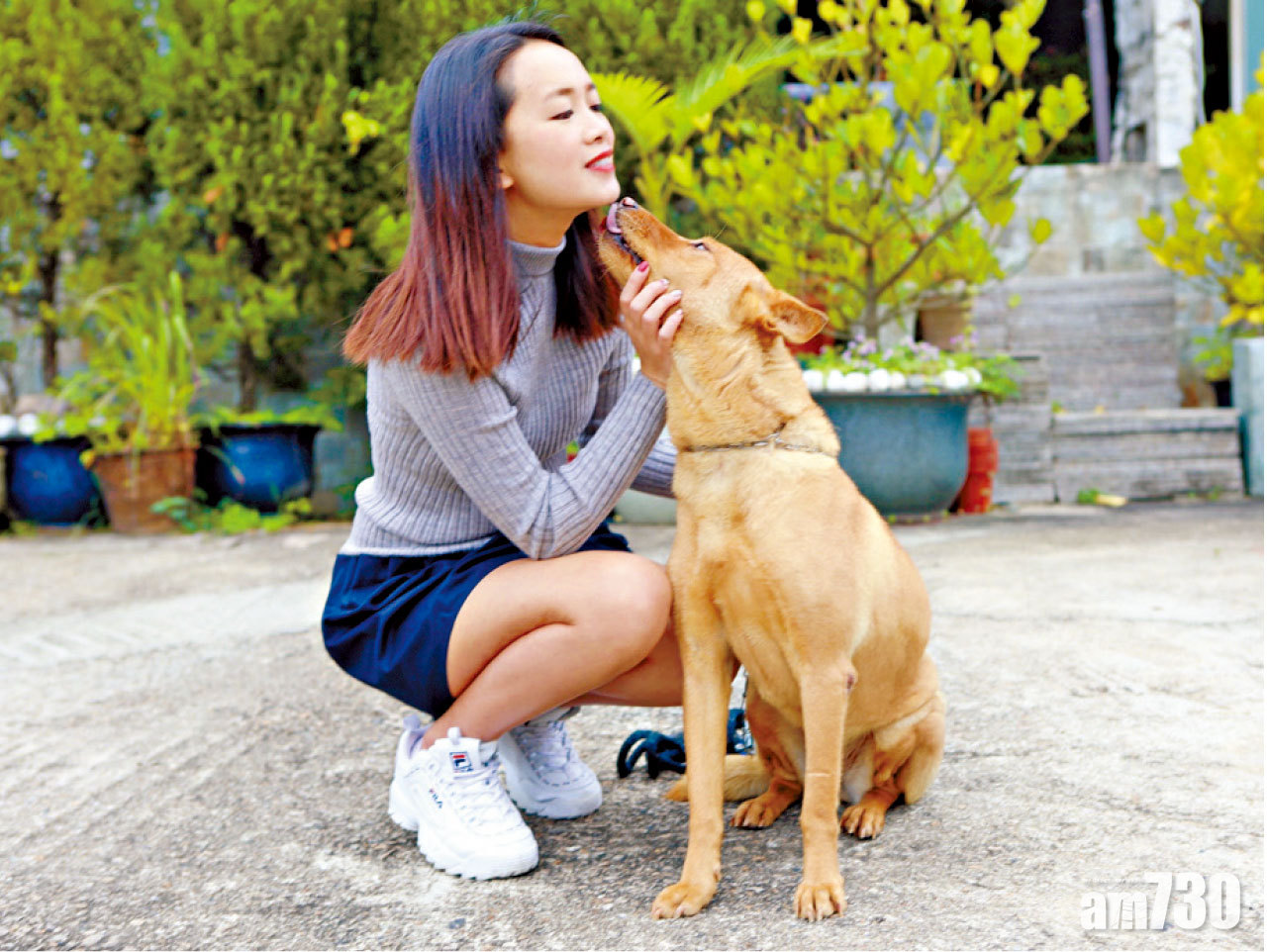 一家三口芝娃娃  陳俞希：感受到牠們的信任