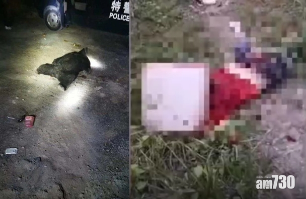 兩黑熊咬死3村民 四川慈母護子喪命