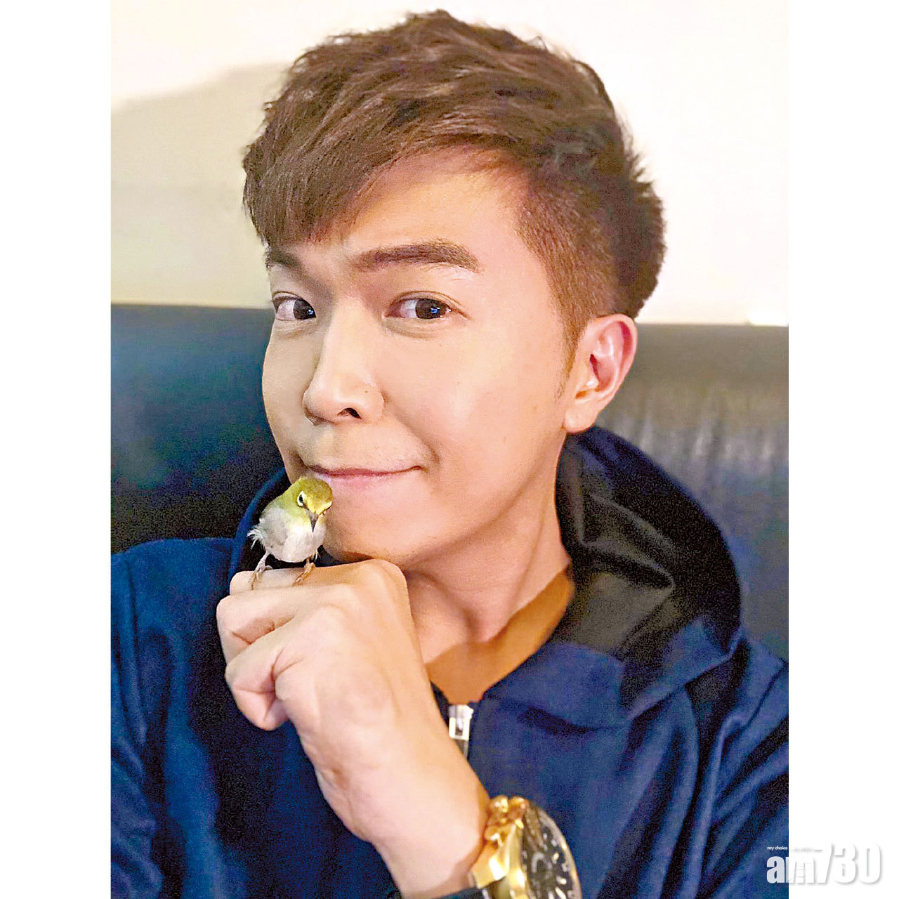  路邊執到雀BB  王鎮泉：每天放飛一小時