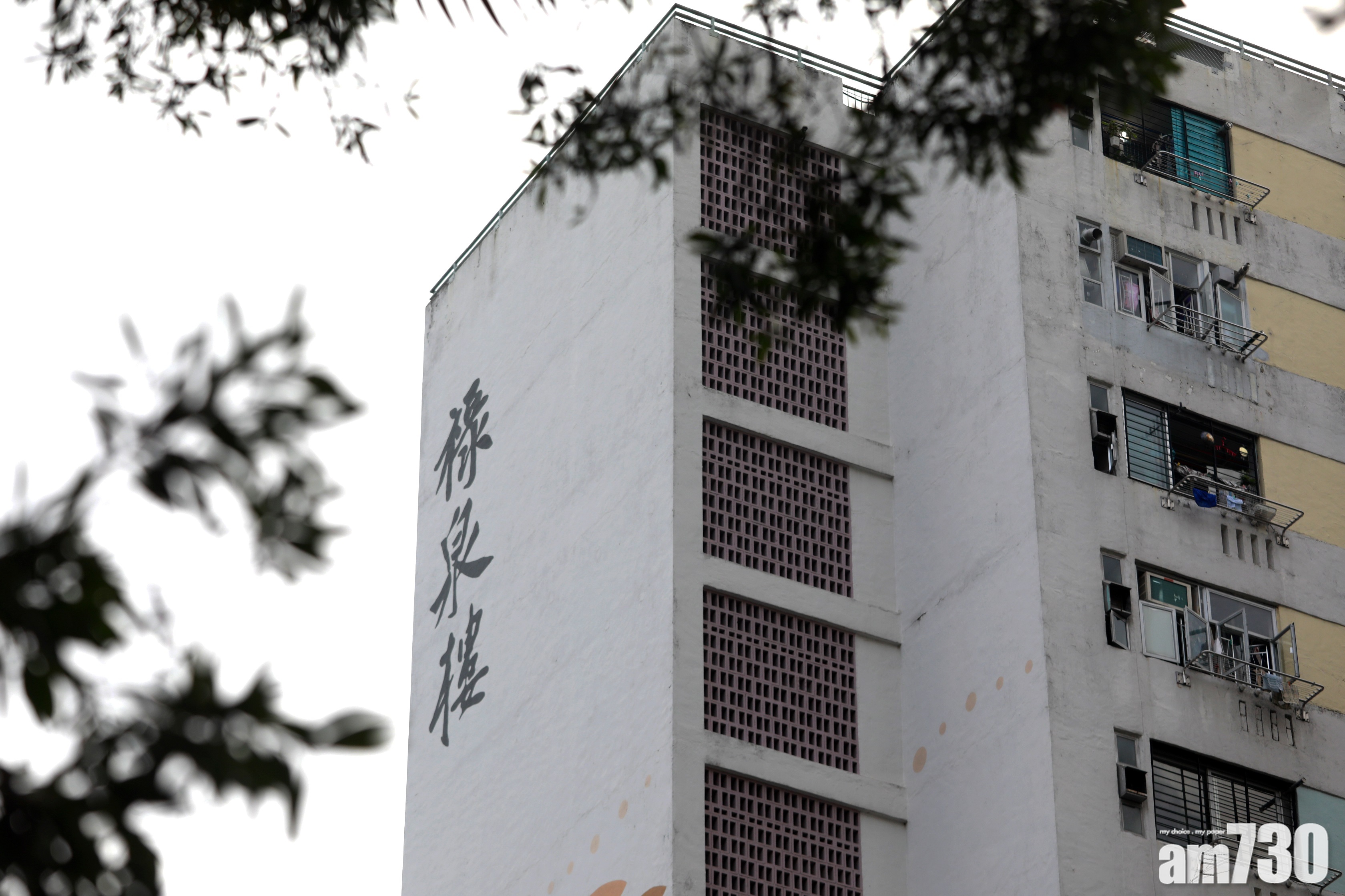 【新冠肺炎】消息：祿泉樓女患者同住姑奶初步確診