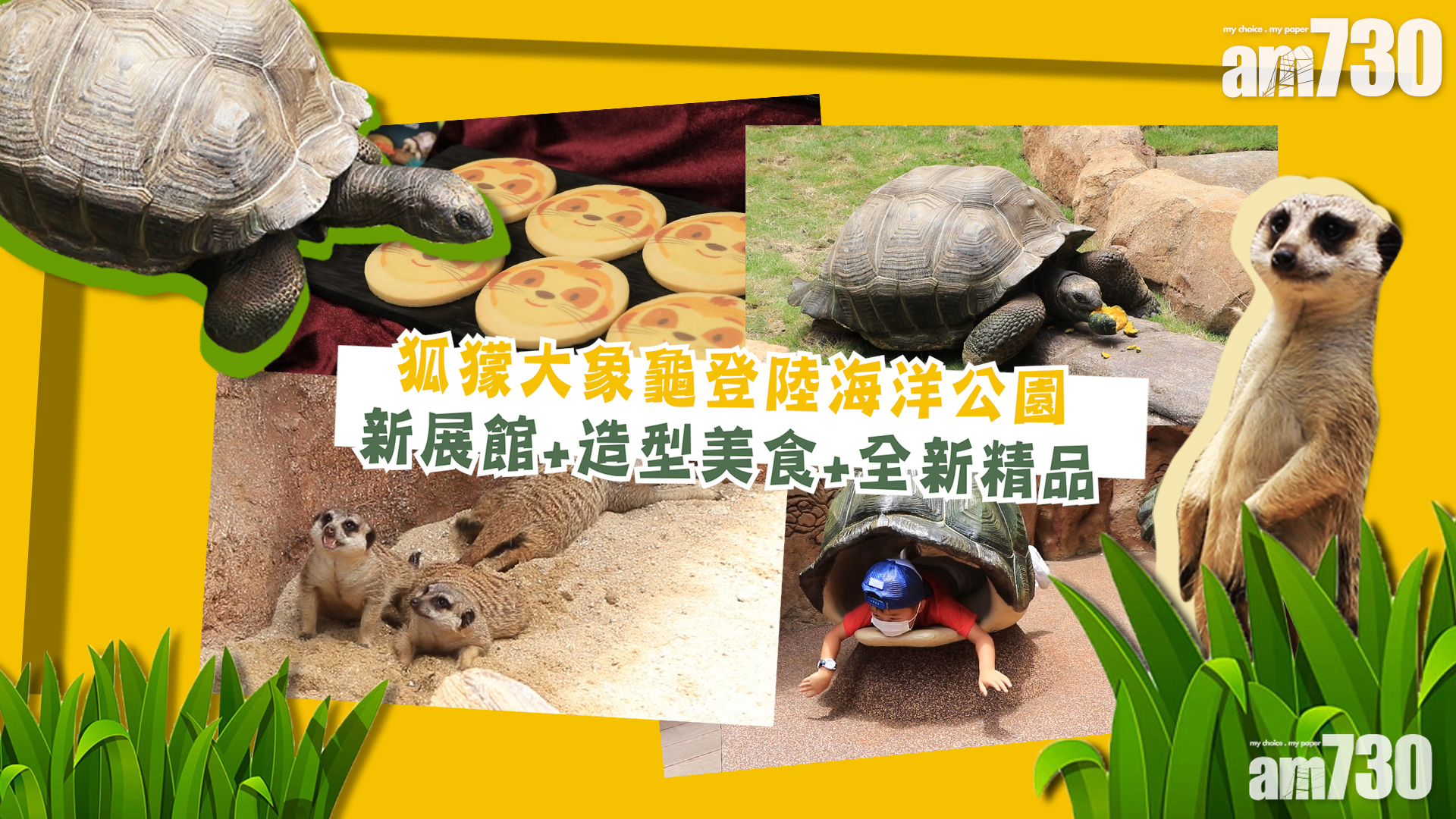 狐獴大象龜登陸海洋公園　新展館+造型美食+全新精品