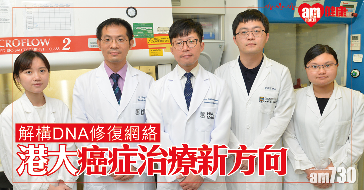 解構DNA修復網絡 港大研究作為癌症藥物新標靶