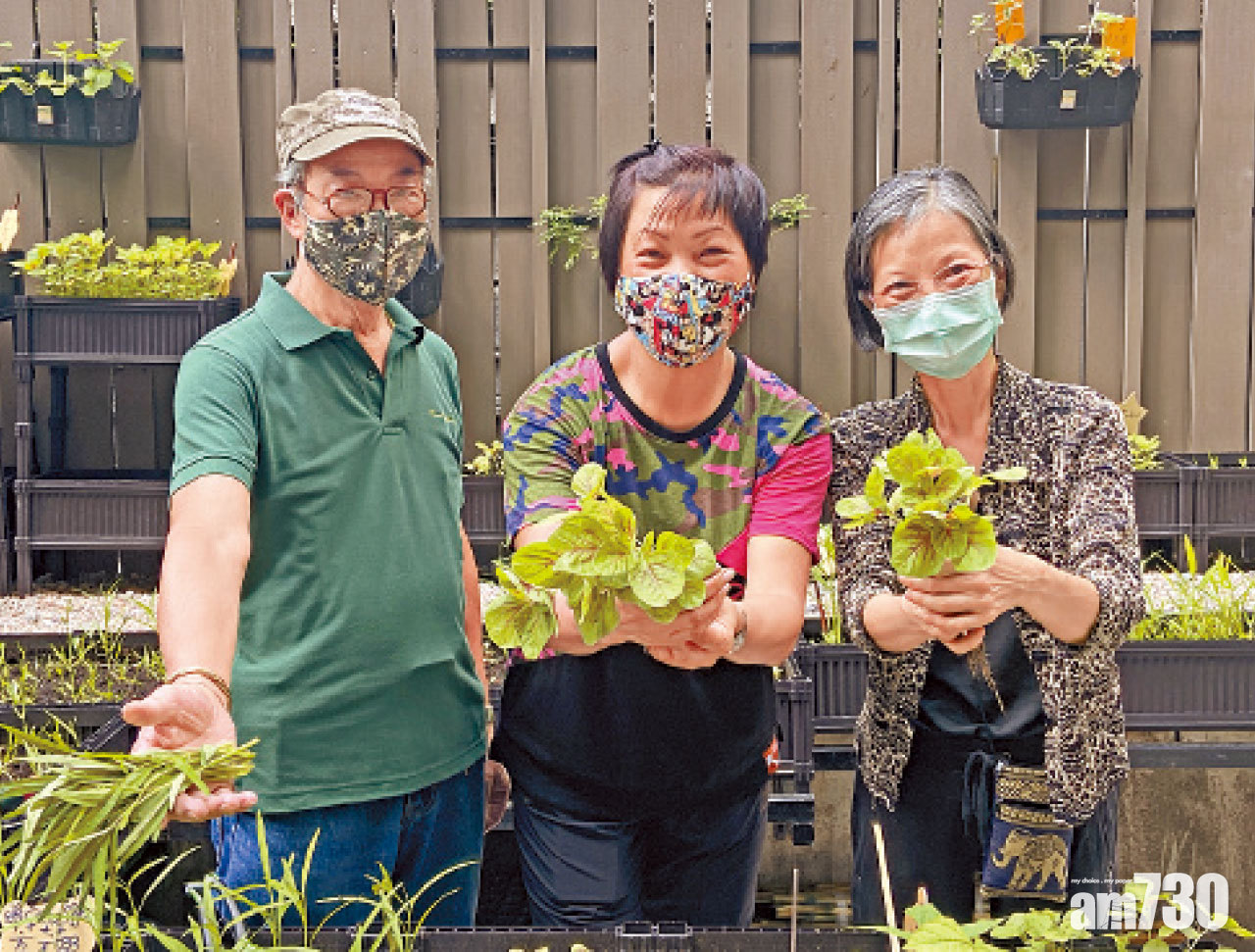 市建局社區苗圃 街坊義工打理 增互助關係