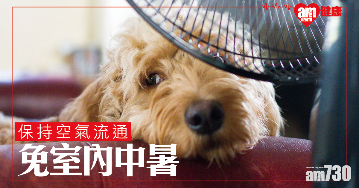 保持空氣流通 避免室內中暑