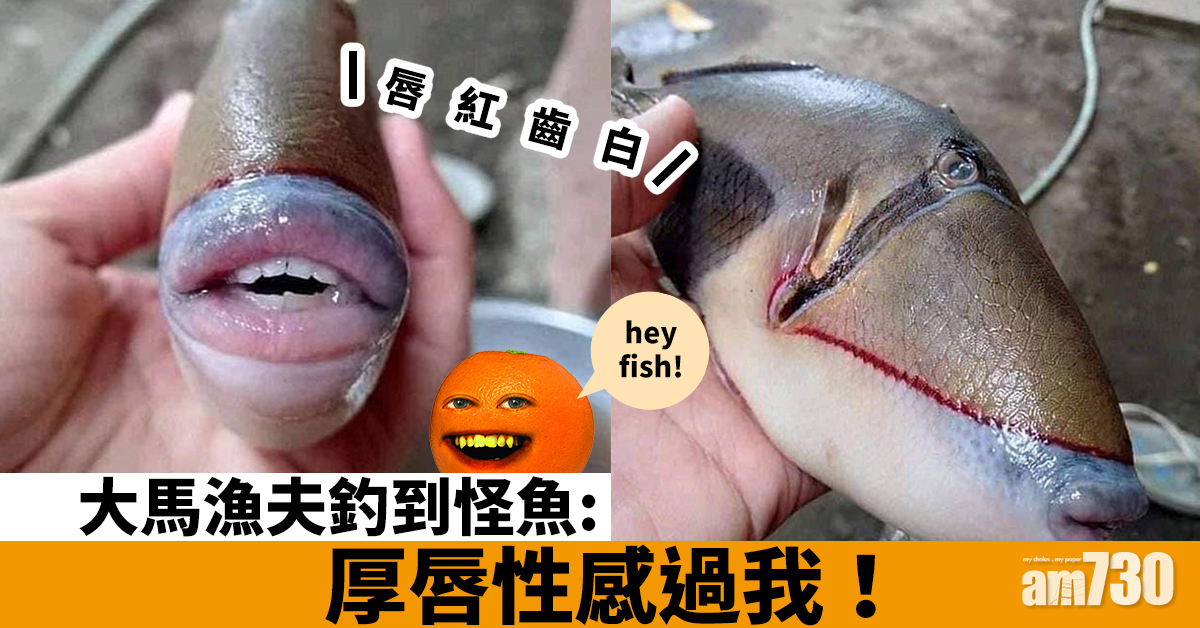 【唇紅齒白】 大馬漁夫釣到怪魚：厚唇性感過我！