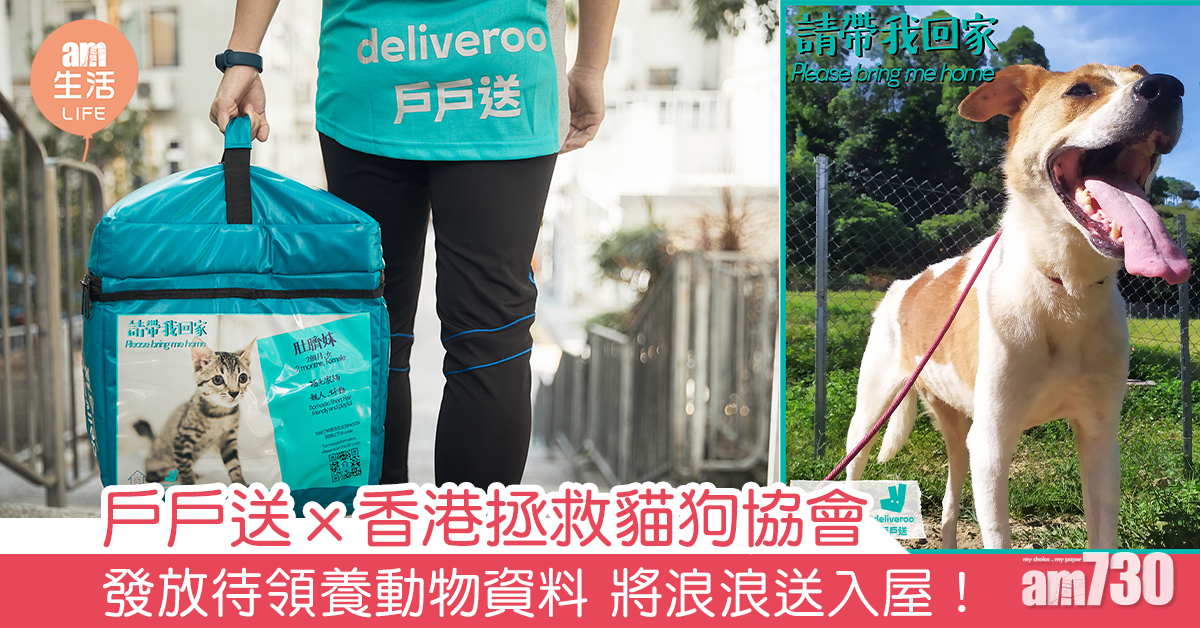 戶戶送ｘ香港拯救貓狗協會 發放待領養動物資料 將浪浪送入屋！