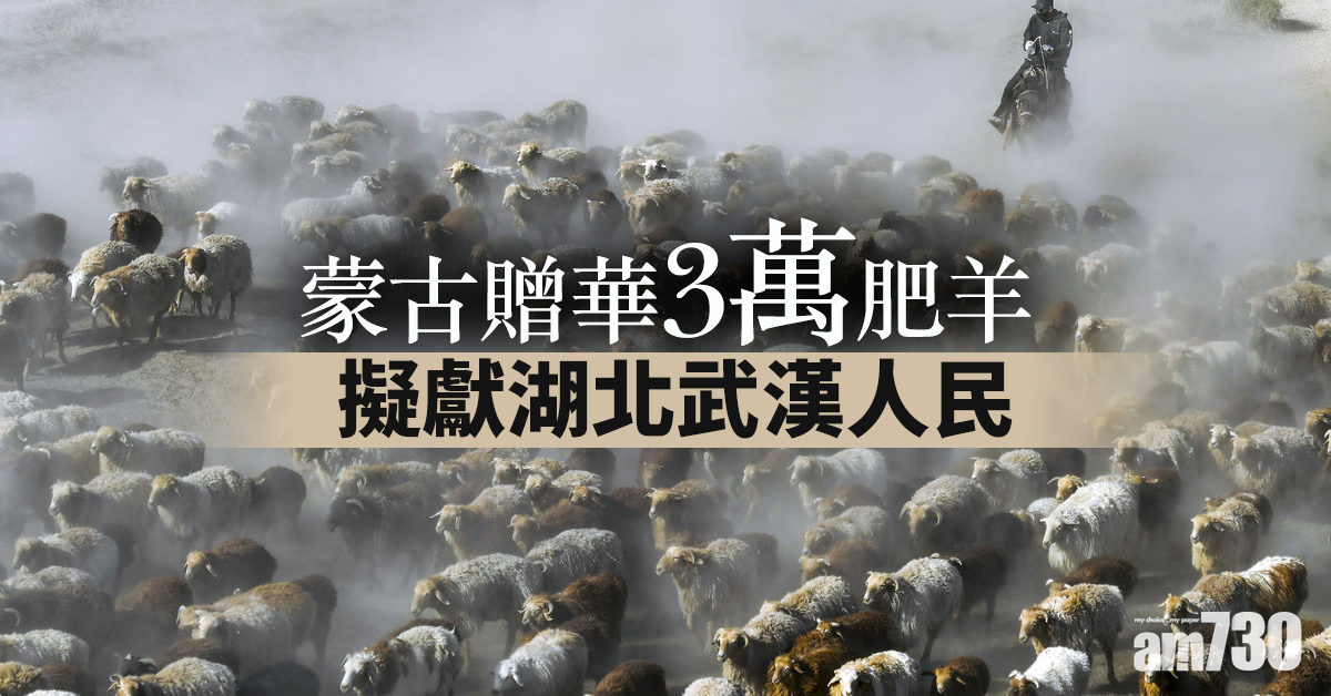 【新冠肺炎】蒙古贈華3萬肥羊 擬獻湖北武漢人民