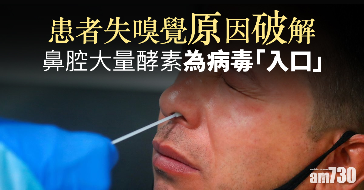 【新冠肺炎】患者失嗅覺原因破解　鼻腔大量酵素為病毒「入口」