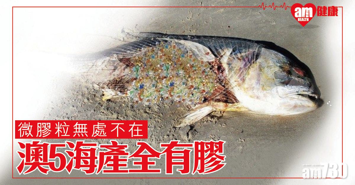 微膠粒無處不在 研究發現澳洲5種海產全有膠
