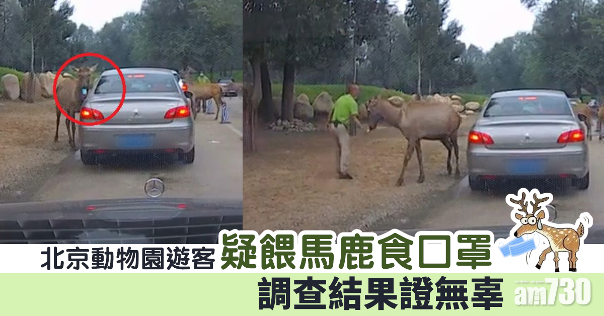 京動物園遊客疑餵馬鹿食口罩 調查結果證無辜