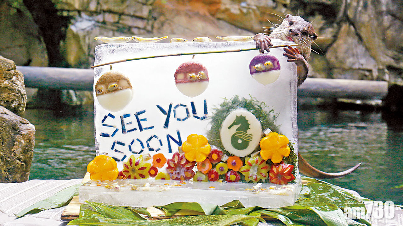 海洋公園：重開就緒 港人498元無限次入場