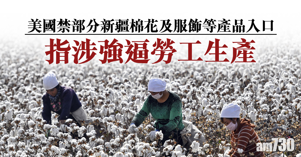 美國禁部分新疆棉花及服飾等產品入口 指涉強逼勞工生產