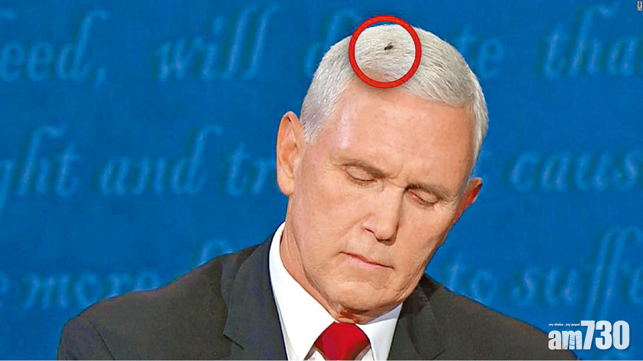 彭斯戰賀錦麗 論中美貿易戰疫情