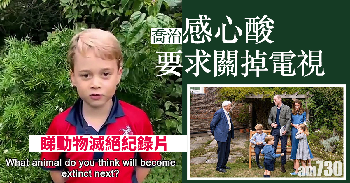 【赤子之心】睇動物滅絕紀錄片  威廉王子：喬治感心酸要求關掉電視