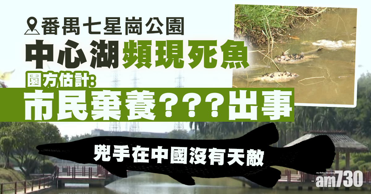 【水怪出沒？】番禺一公園湖頻現死魚 3隻兇手被捕