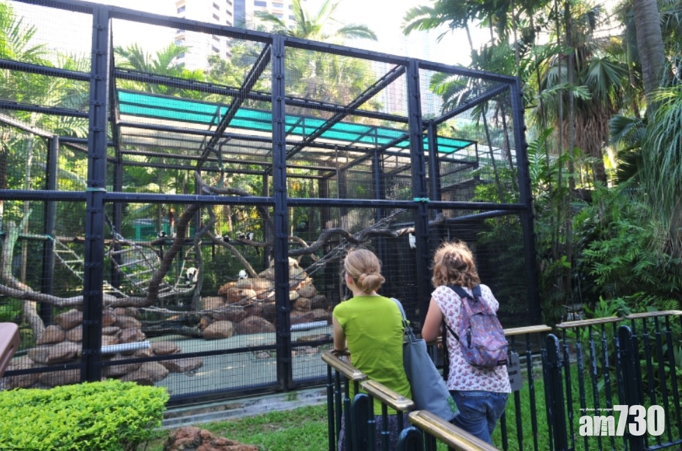 【記憶回帶】「邂逅！市中森」計劃徵集香港動植物公園舊相