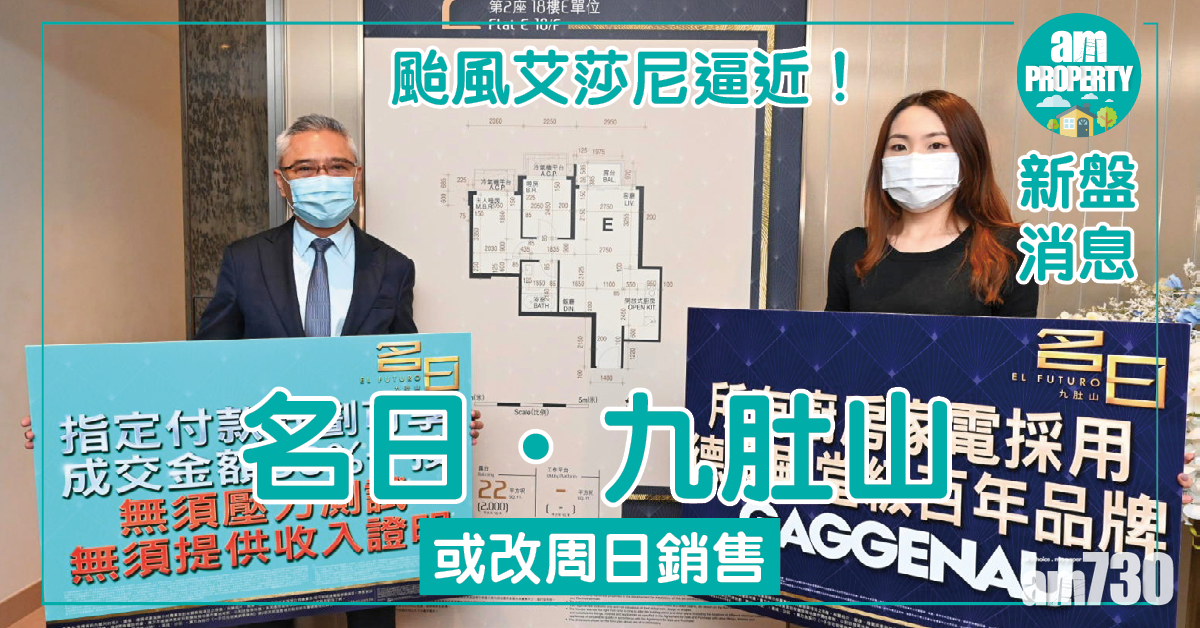 【新盤消息】颱風艾莎尼逼近！名日．九肚山或改周日銷售