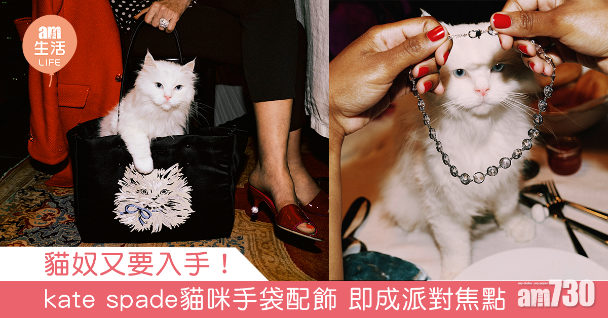 貓奴又要入手！ kate spade貓咪手袋配飾 即成派對焦點