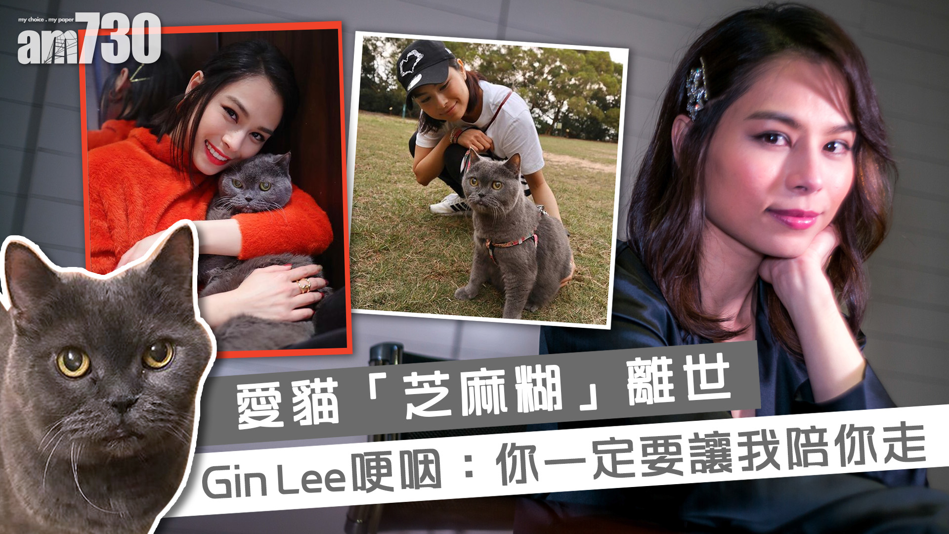 【娛樂專訪】憶愛貓  Gin Lee感觸落淚：「你一定要讓我陪你走……」