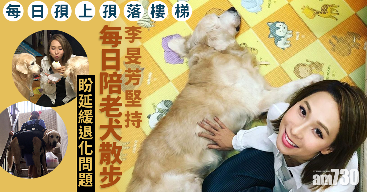 李旻芳堅持每天陪老犬散步 盼延緩退化問題