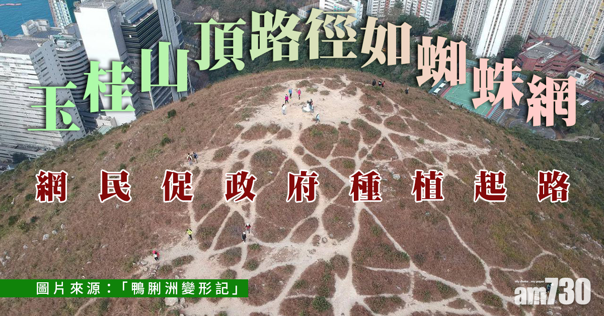 【網上熱話】玉桂山頂路徑如蜘蛛網　網民促政府種植起路