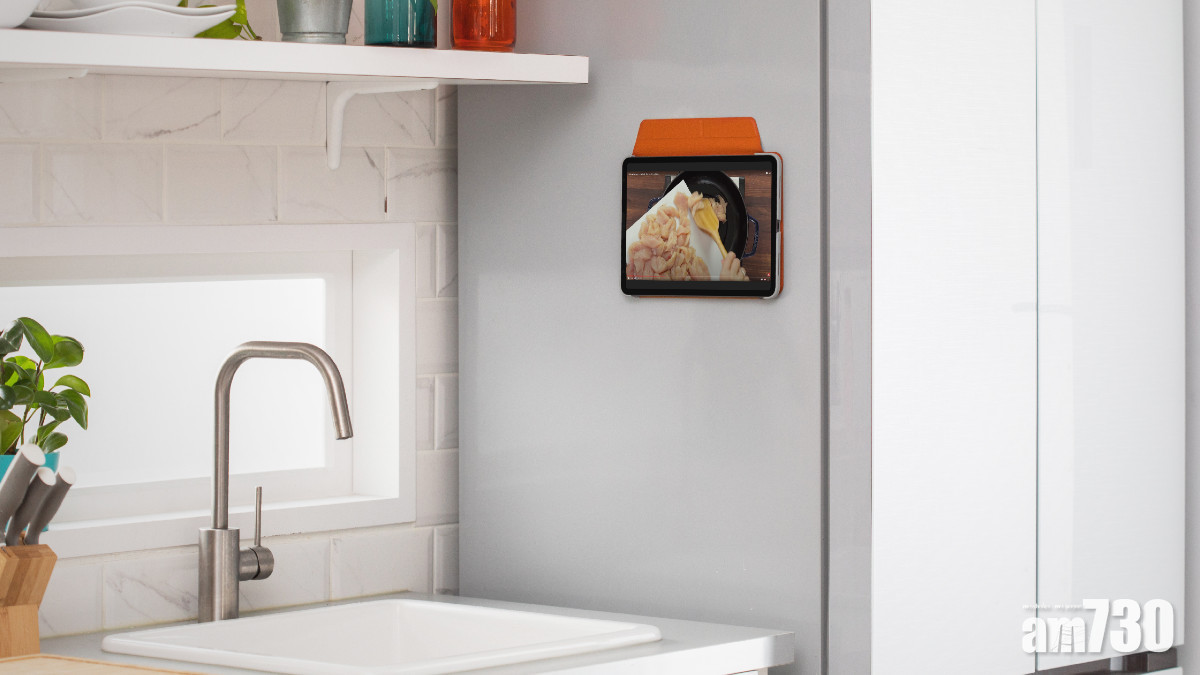 獨有掛牆摸式 台灣Moshi VersaCover for iPad Air 4磁吸式保護套