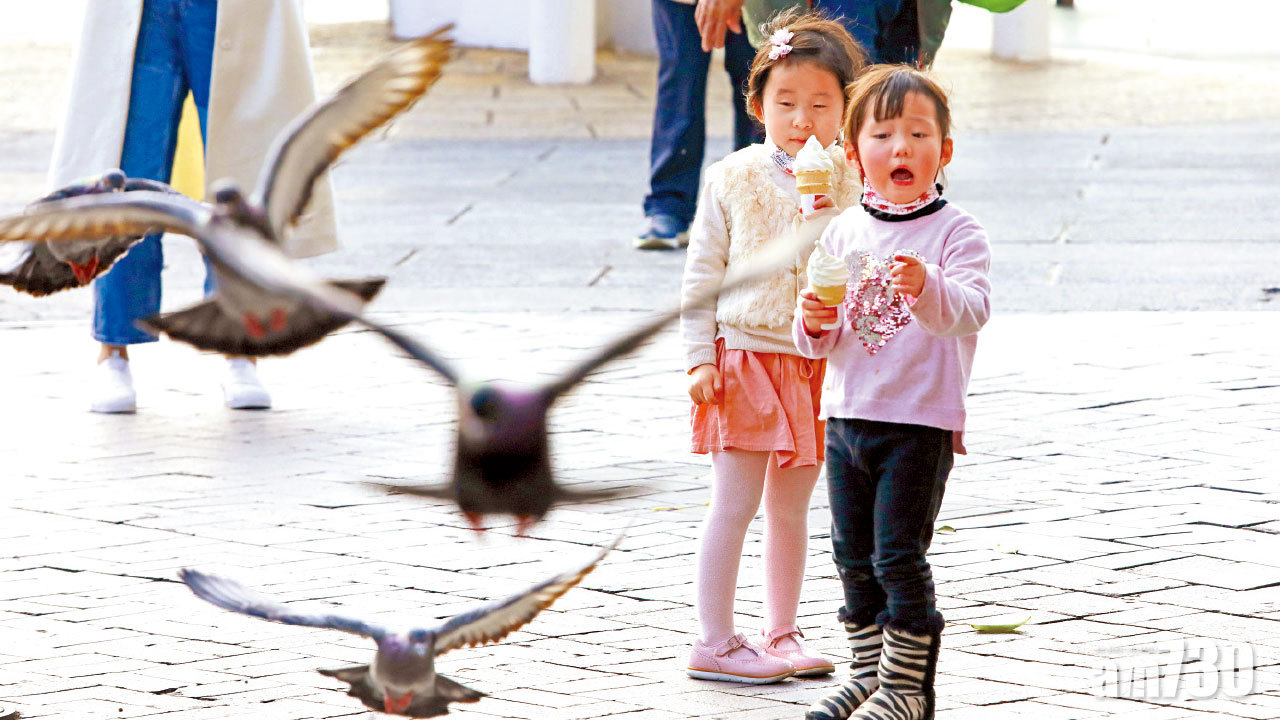 香港寒風 今晚11度 明早得8度