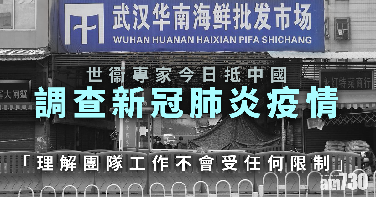 【新冠肺炎】訪華世衞專家今日抵中國　料逗留約一個月