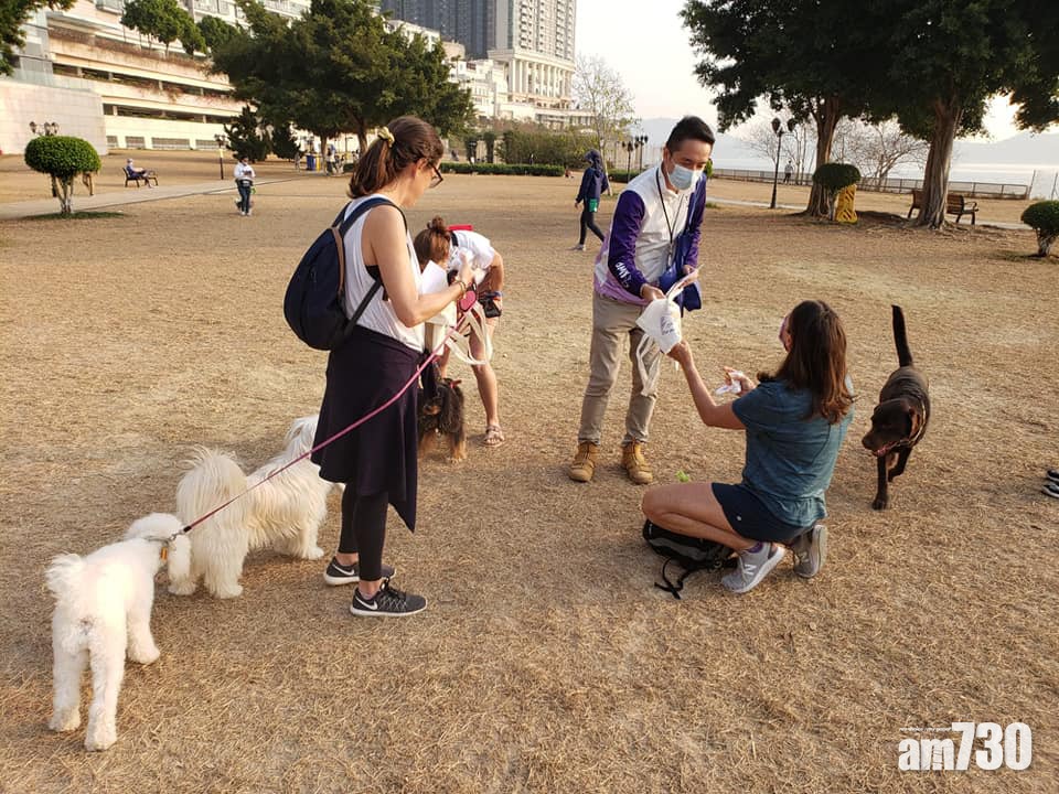 提防毒餌｜數碼港海濱公園有狗隻疑食毒餌亡