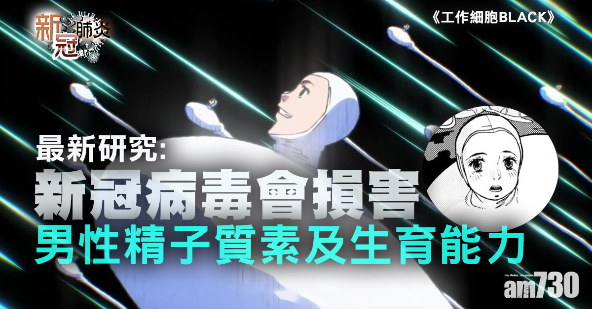 新冠肺炎｜研究：病毒會損害男性精子質素及生育能力  