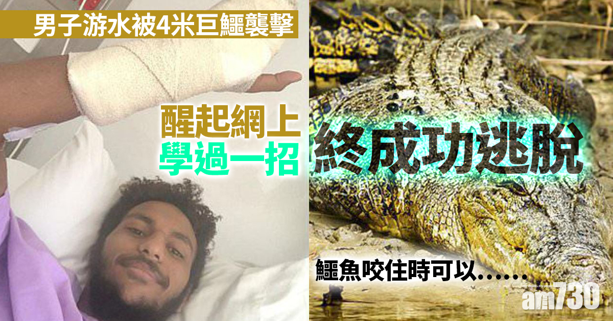 野外求生｜男子游水被4米巨鱷襲擊　醒起網上學過一招終成功逃脫