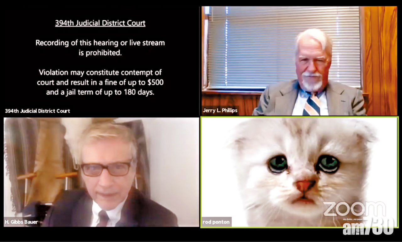 Zoom濾鏡出事  法院聽證會律師變小貓