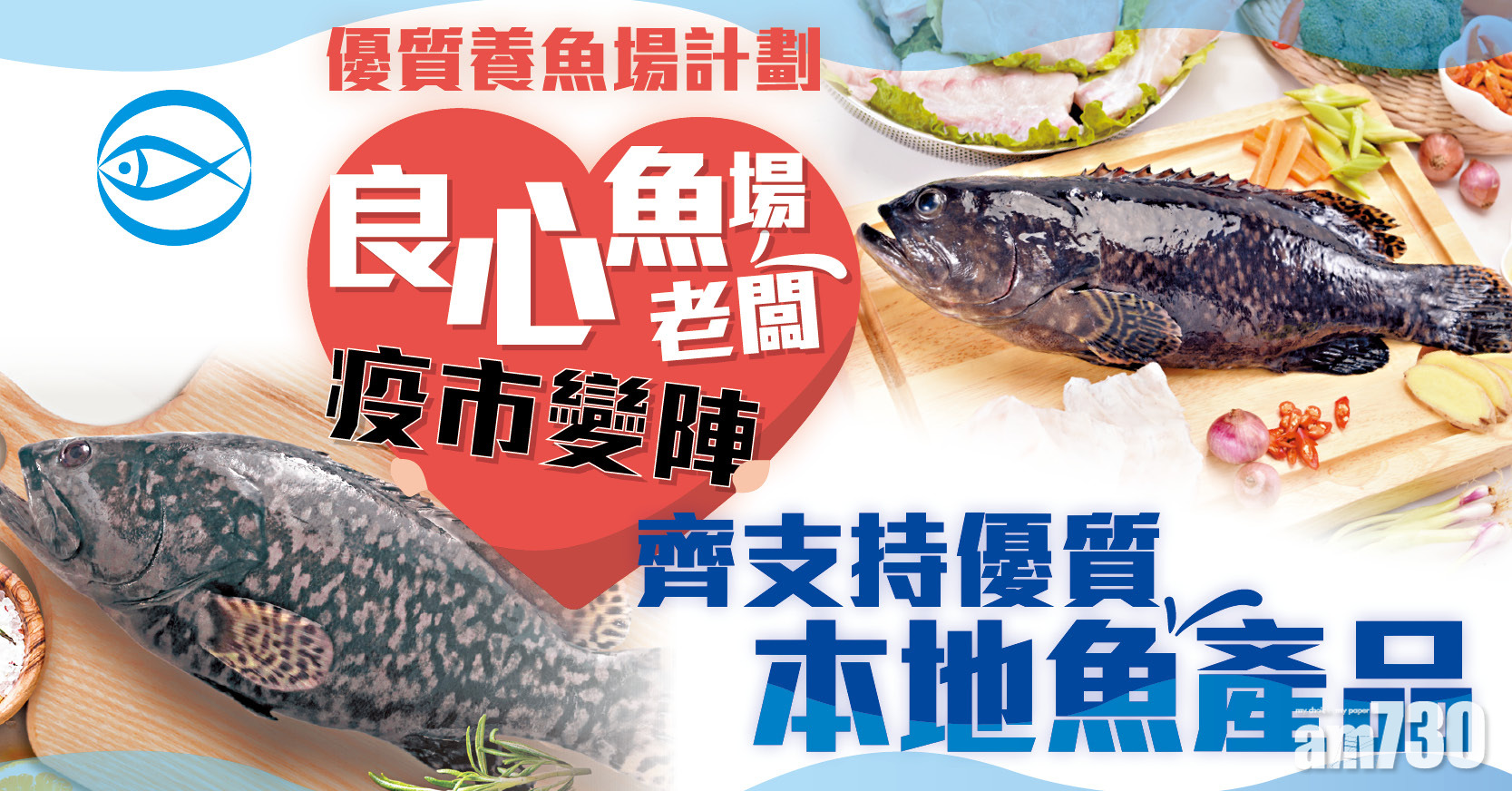 【優質養魚場計劃】良心魚場老闆疫市變陣 齊支持優質本地魚產品