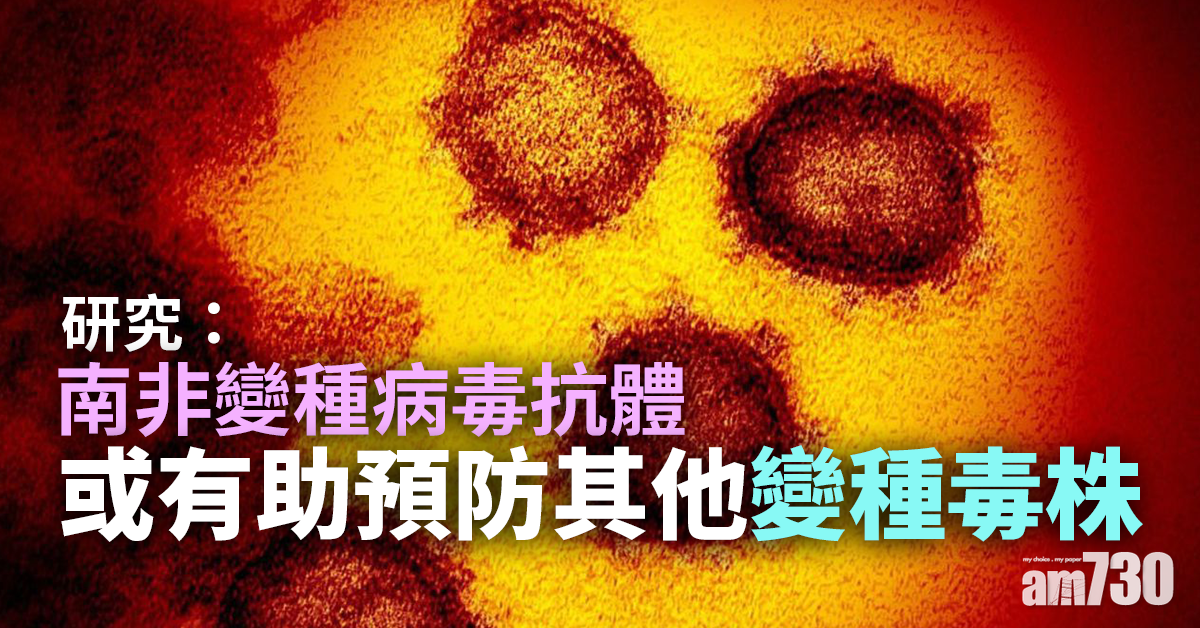新冠肺炎｜研究：南非變種病毒抗體或有助預防其他變種毒株