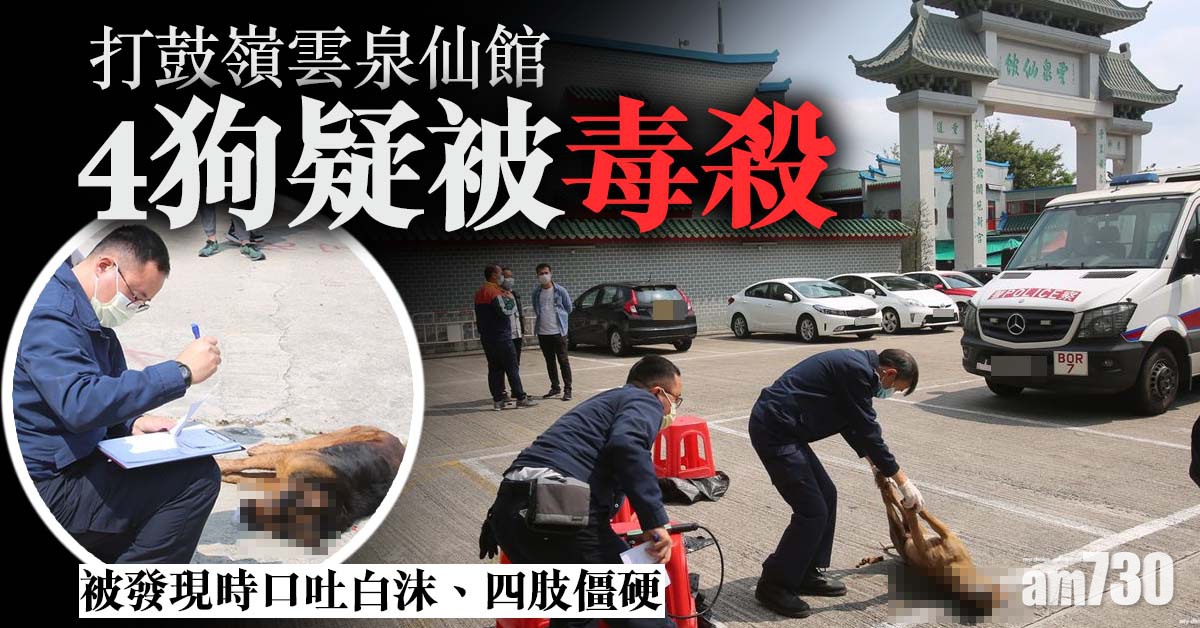 殘酷對待動物｜打鼓嶺雲泉仙館4狗疑被毒殺