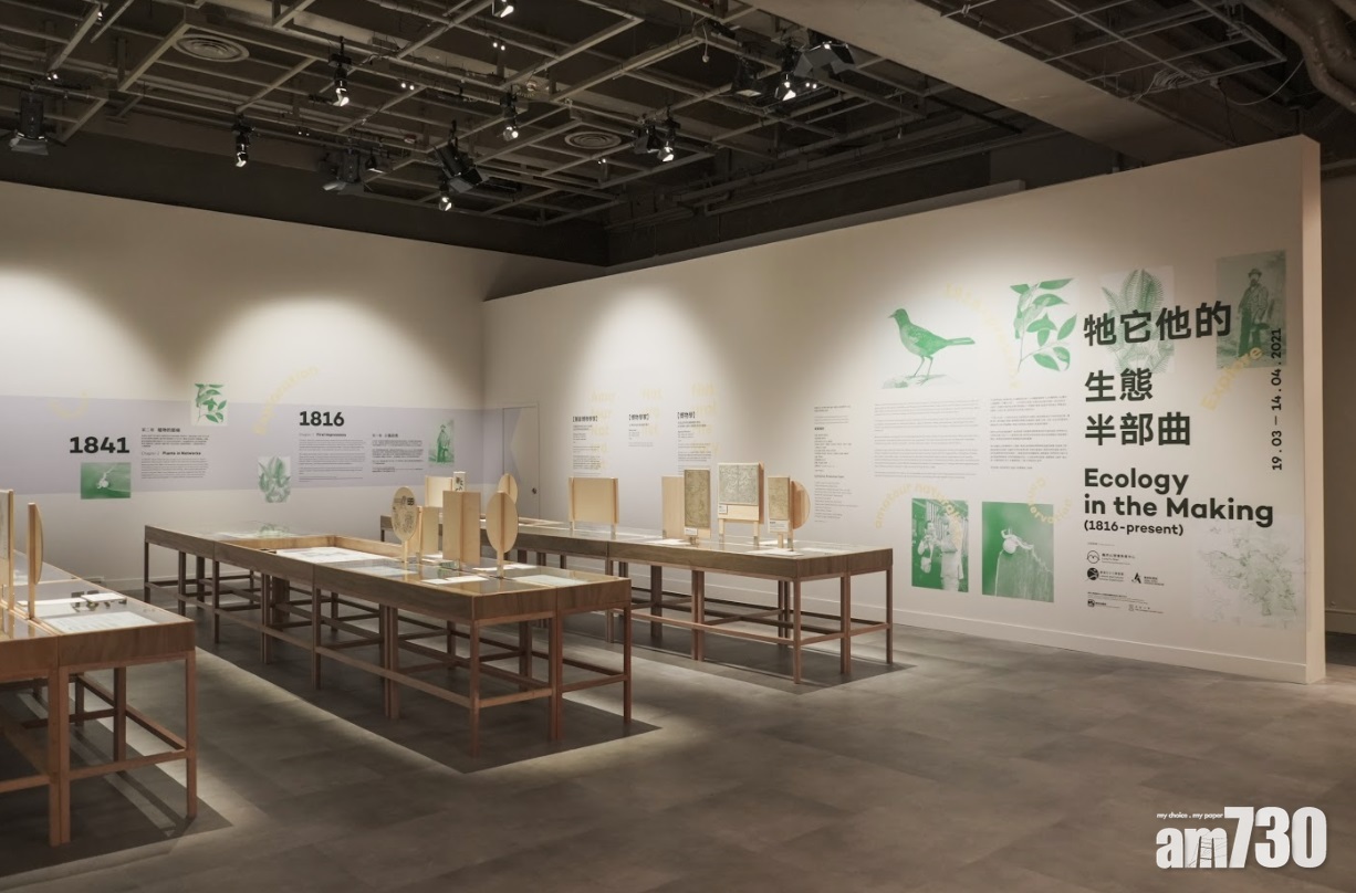 不容錯過｜「牠它他的生態半部曲」展覽　呈現香港珍稀自然歷史紀錄