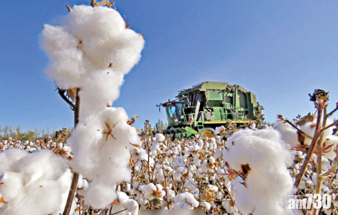 關注人權問題 停用新疆棉花 H&M遭官媒轟吃飯砸鍋