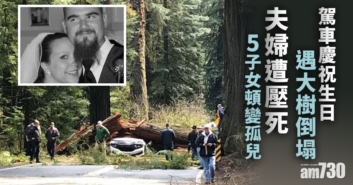 死神來了｜駕車慶祝生日遇大樹倒塌夫婦遭壓死  5子女頓變孤兒
