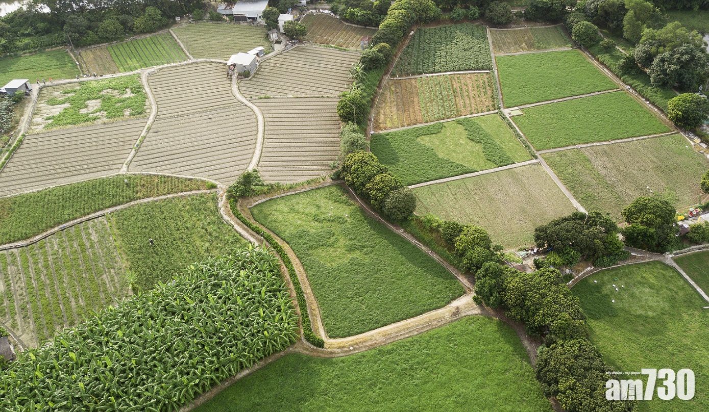 復耕計劃去年配對4公頃農地　農友平均輪候4年