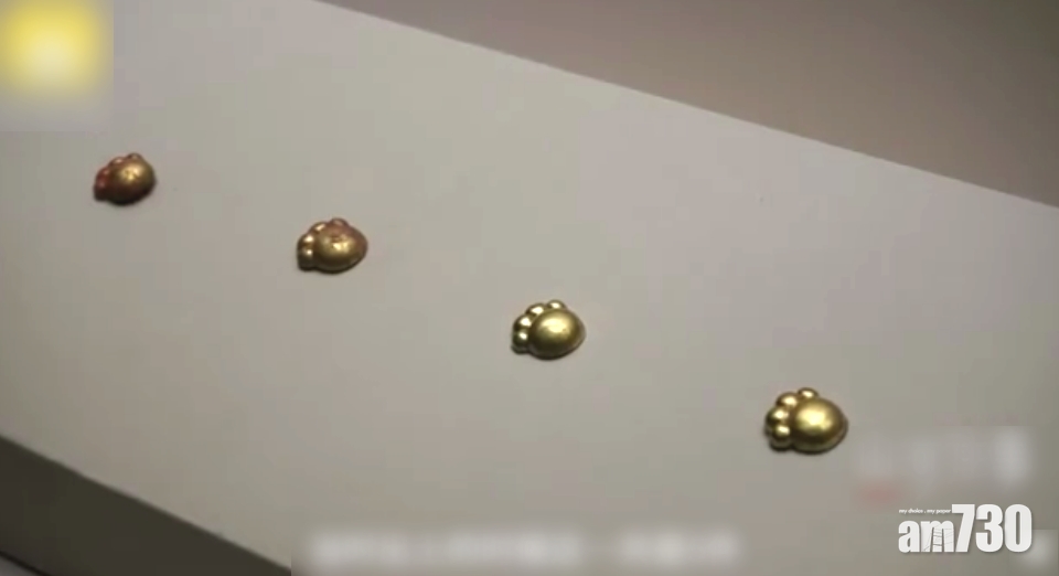 最萌文物｜2700年前有貓奴？周代貓爪金飾片出土