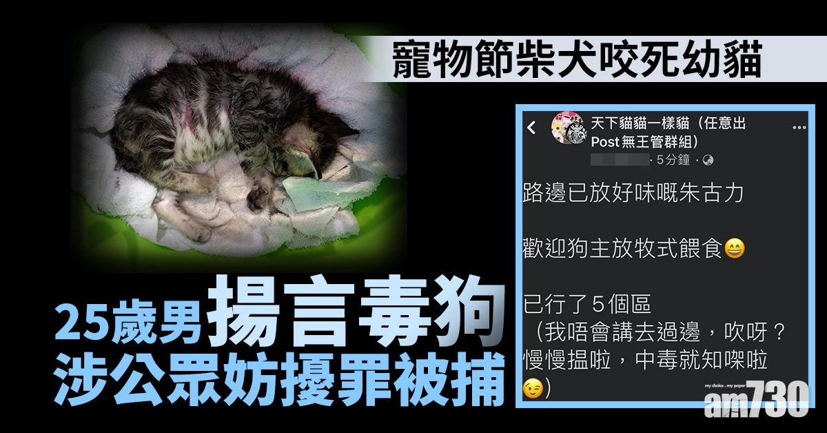 寵物節柴犬咬死幼貓　25歲男揚言毒狗涉公眾妨擾罪被捕