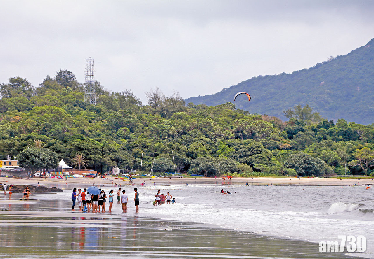 代辦大嶼山車輛禁區紙 警拘5人涉17案 12.8萬
