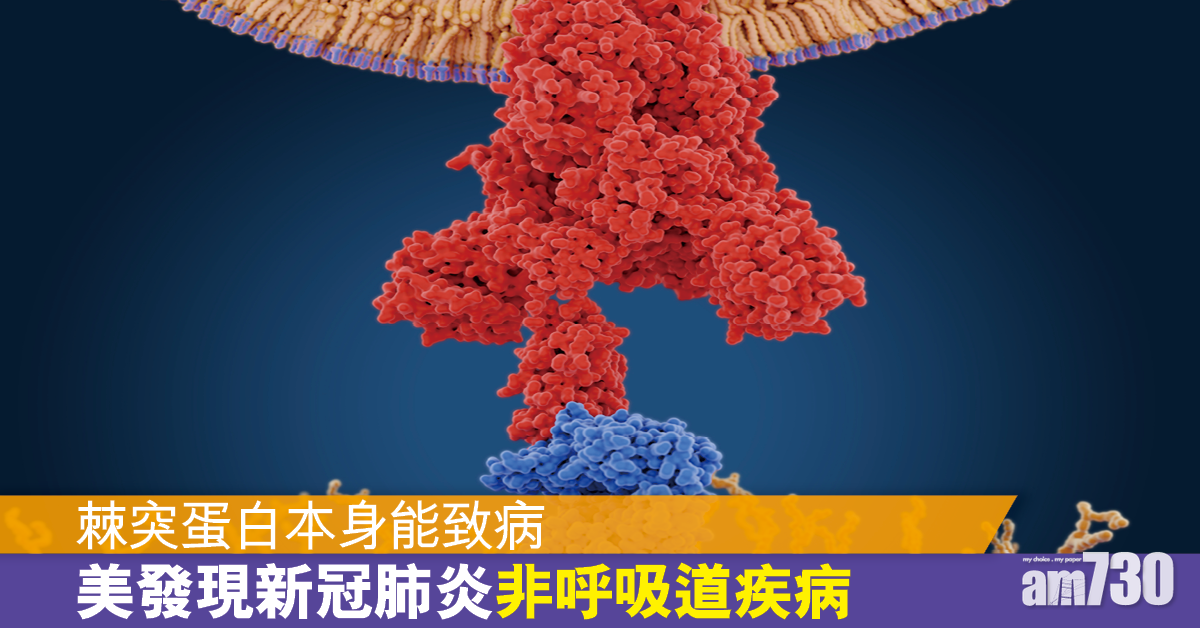 新冠肺炎│美研究指COVID-19並非呼吸道疾病