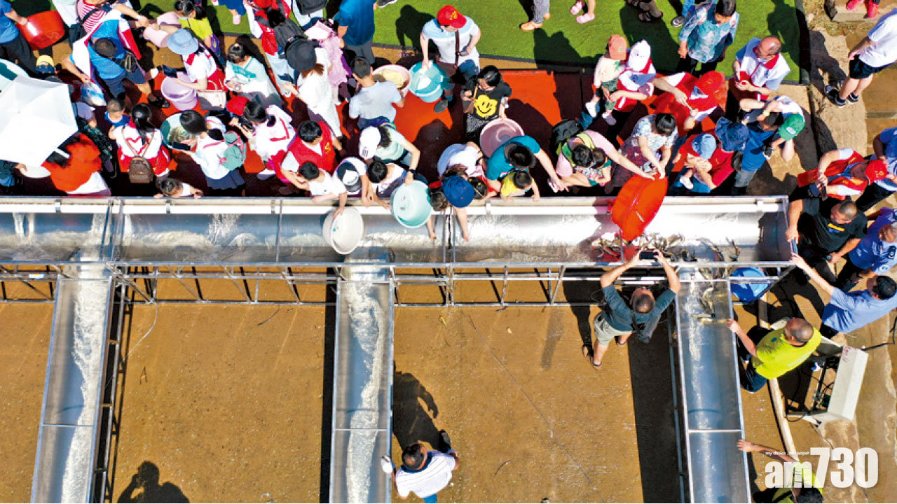 圖片新聞 : 放魚