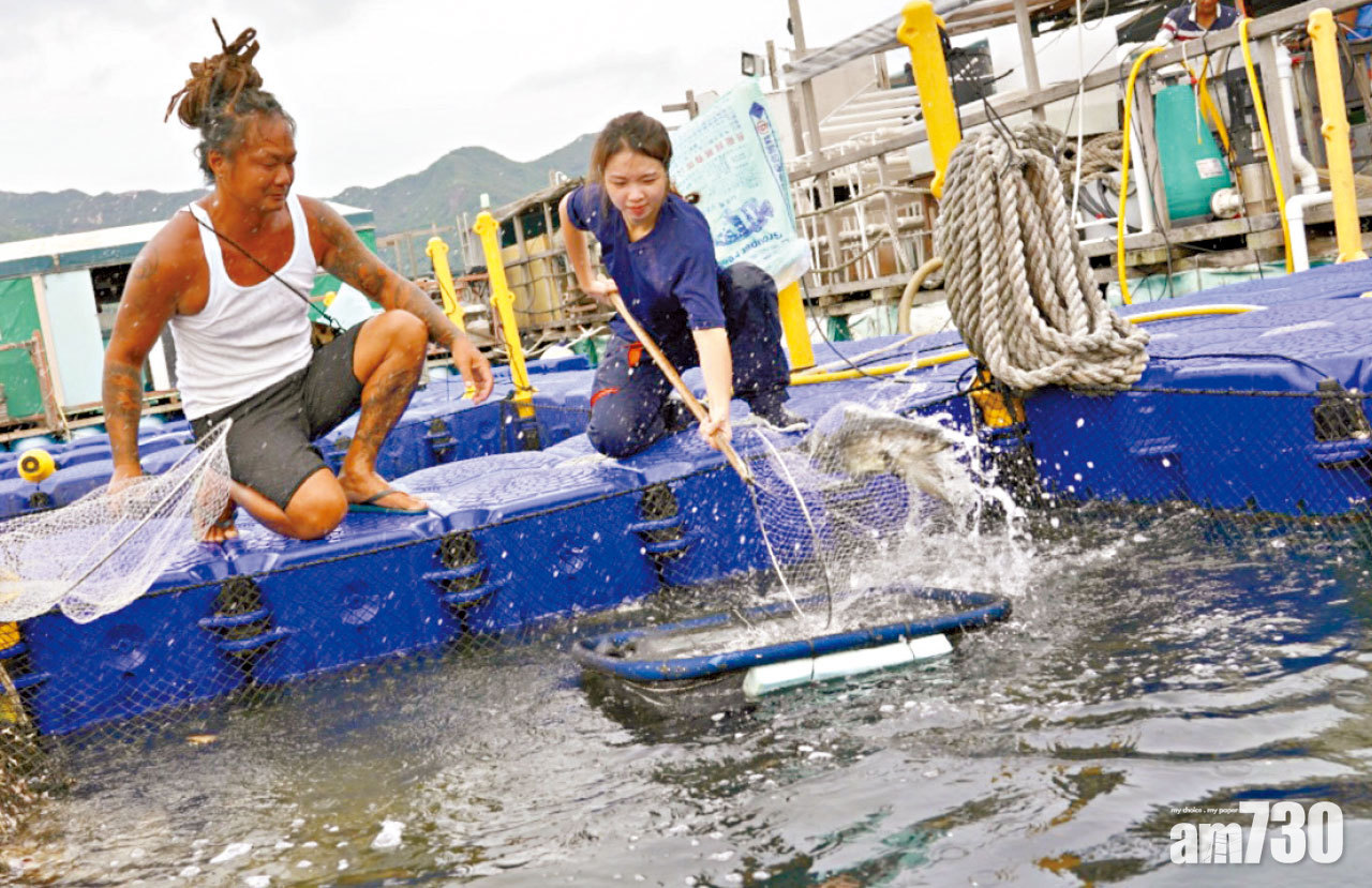 學以致用 日灑雨淋體驗漁民工作 00後 : 因對海洋的熱愛